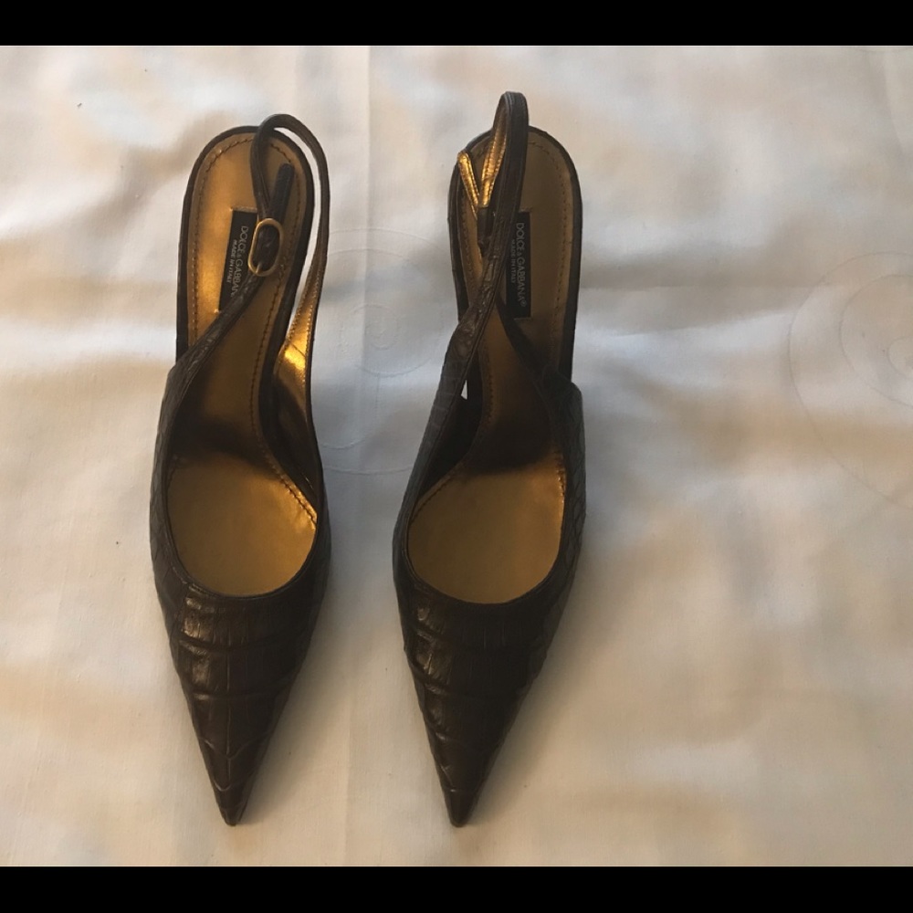 Dolce Gabbana Ladies Alligator brown high Heels